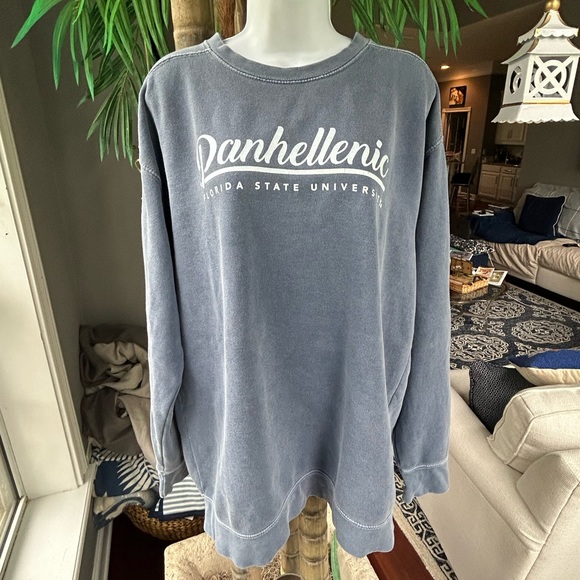PANHELLENIC Florida State Gray Blue Oversized Sweatshirt L Comfort Colors EUC - Picture 1 of 7